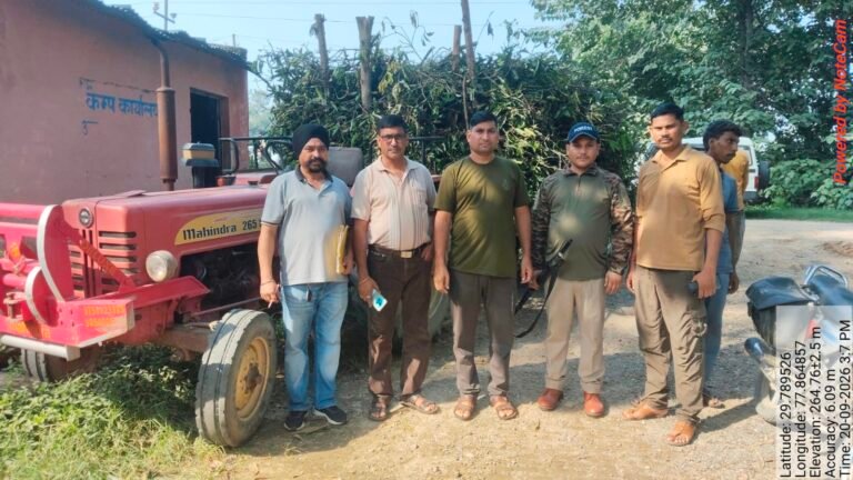 लाठरदेवा हूण में आम के पेड़ों की लॉपिंग, मंगलौर अनुभाग की निगरानी पर फिर सवाल…